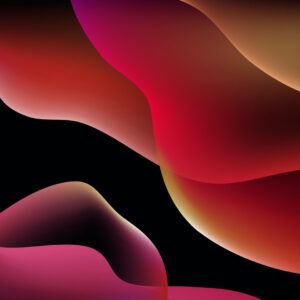 CryptoBook - Signed First Edition